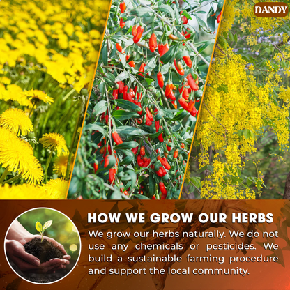 Dandelion Goji Berry Tea Revitalize Your Body with a Simple Daily Detox Routine!