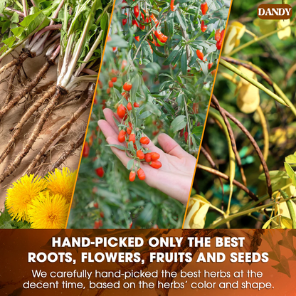 Dandelion Goji Berry Tea Revitalize Your Body with a Simple Daily Detox Routine!